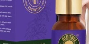 Rosemary Essential Oil