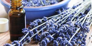 Bulgarian Lavender Essential Oil