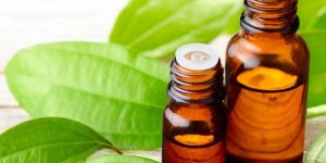 Cinnamon Leaf Essential Oil