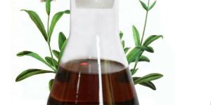 Spikenard Jatamansi Oil