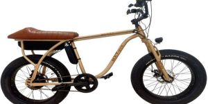 Beast IBC Electric Bicycle