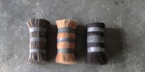 Buffalo Black Tail Hair