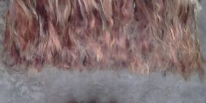 Buffalo Tail Hair