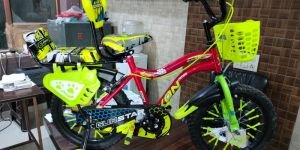 Espee 16T Gunstar Ikon Double Gaddi Kids Bicycle