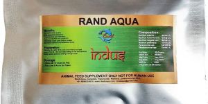 Indus