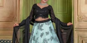 Net Lehenga Choli
