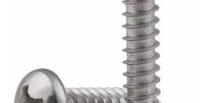 SS PAN HEAD SCREW