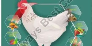 Netzyme Strong Poultry Broiler Growth Promoter