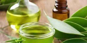 WS Aloe Vera Oil