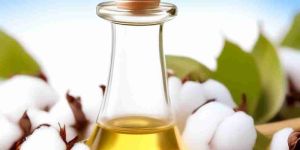 Cold Pressed Cotton Seed Oil