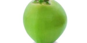 Green Tender Coconut