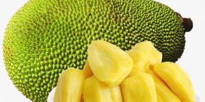 Fresh Jackfruit