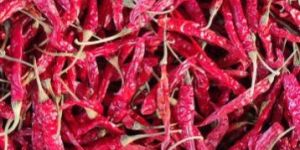 Dried Red Chilli