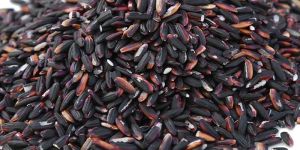 Black Rice