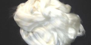 White Mulberry Fiber/Tops