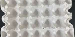 Egg Packaging Box