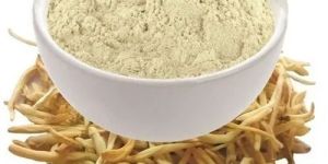 Spray Dried Safed Musli Powder