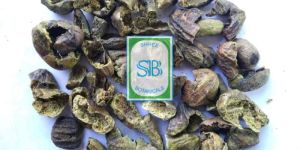 Harad Seedless (Terminalia Chebula)