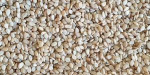 Hulled Sesame Seeds