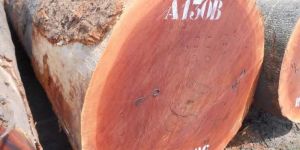 Mahogany Wood Logs