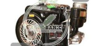 4HP Texmo Power Diesel Engine