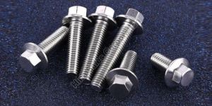 Stainless Steel 316 Bolts