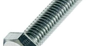 Stainless Steel Hex Bolt