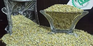 Bulk Quantity Green Millet