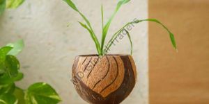Coconut Shell Flower Pot