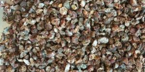 Seed Less Drie Amla