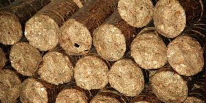 Biomass Briquettes