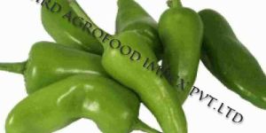 Green Bullet Chili