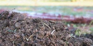 Ghan Jivamrut Vermicompost Fertilizer