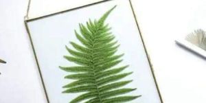 Hanging Brass Glass Photoframe