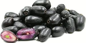 Black Plum