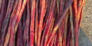 Dried Bully Stick Long Pizzles