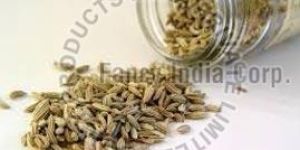 Fennel Seeds
