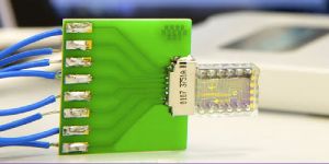 WIRELESS SENSOR NETWORK