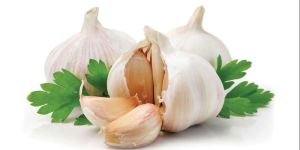 Fresh Garlic
