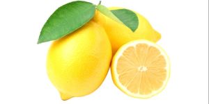 Fresh Lemon