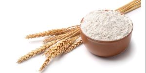 Wheat Flour