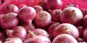 Onion