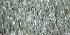 Precious Metal Powder