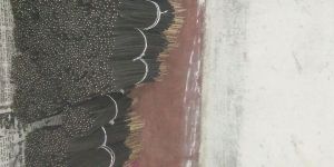 Raw Agarbatti Sticks