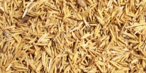Rice Husk