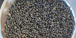 Sabut Whole Black Urad Dal