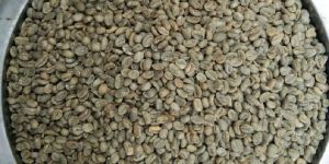 Robusta Green Coffee Beans
