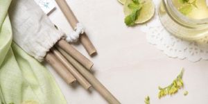 Bamboo Straw with Cleaner