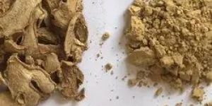 Dehydrated Ginger Powder