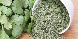 Dried Coriander Leaves